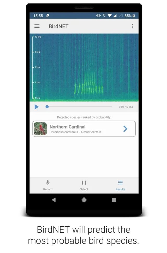 Screenshot_20190616-175854_Google Play Store.jpg